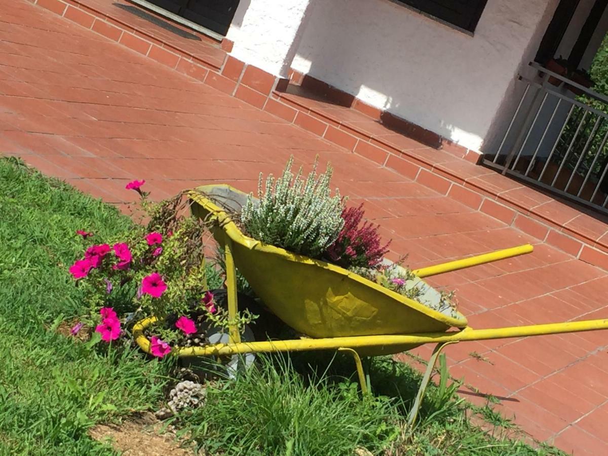 Progetto Vacanze Invorio Inferiore Bagian luar foto